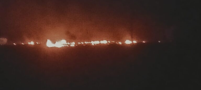 कृषि विज्ञान केंद्र नरसिंहपुर द्वारा नरवाई जलाने की घटना की तस्वीर