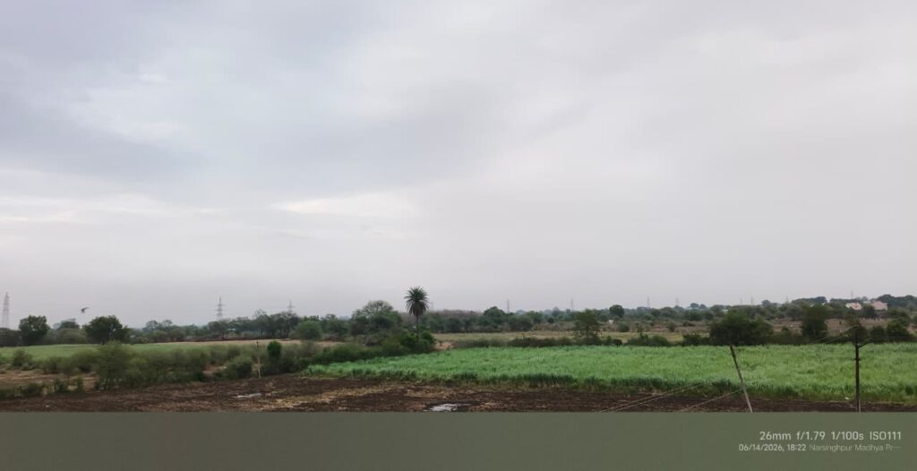 मध्य प्रदेश के खेतों के ऊपर छाए मानसूनी बादल
